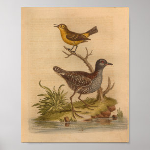 Vintage Bird Brown Yellow Print
