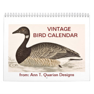 Vintage Bird Calendar - 2013