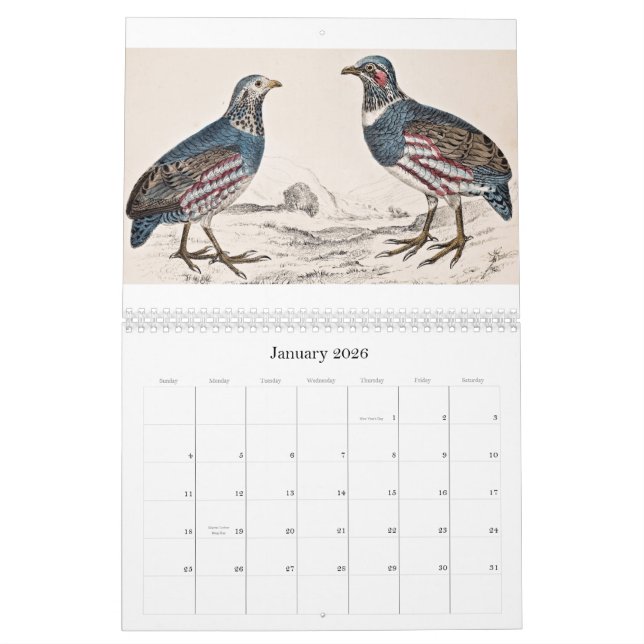 Vintage Bird Calendar - 2013 (Jan 2026)