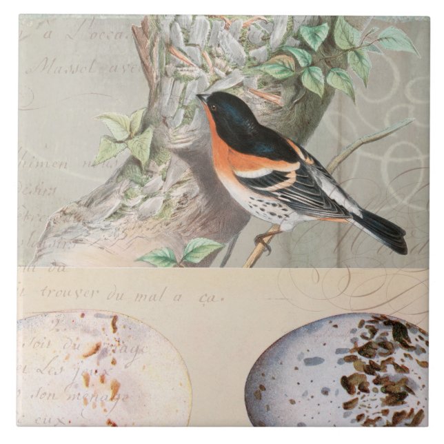 Vintage Bird Collage Egg Botanical Script Ephemera Tile (Front)