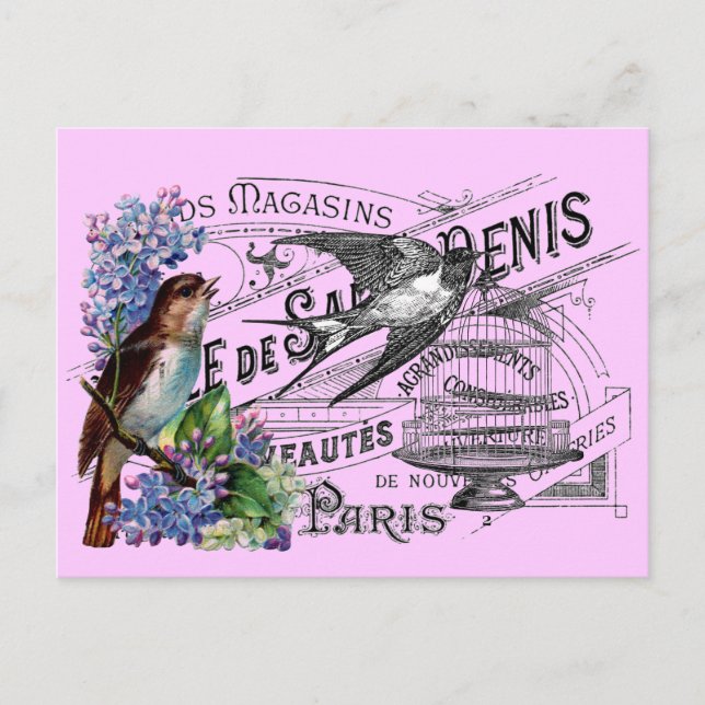 Vintage Bird Collage Postcard (Front)