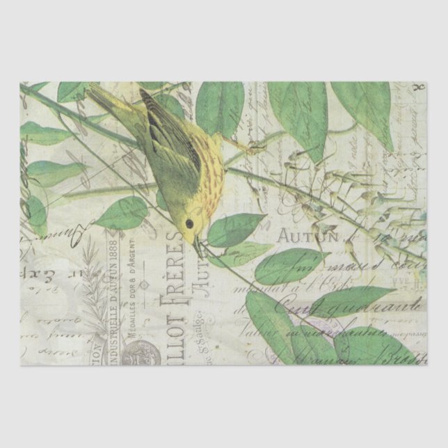 Vintage Bird Collage Tissue Paper (Front)