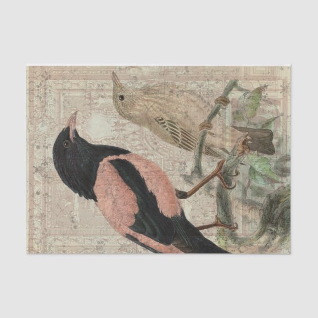 Vintage Bird Collage Tissue Paper (Front)
