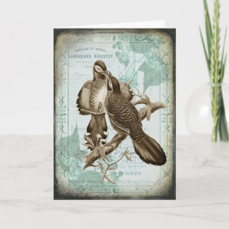 Vintage Bird Couple Greeting Card