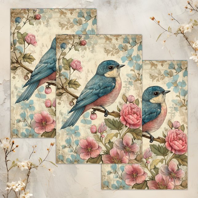 VINTAGE BIRD DECOUPAGE TISSUE PAPER (VINTAGE BIRD DECOUPAGE TISSUE PAPER)