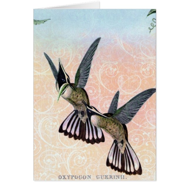 Vintage Bird Digital Art (Front)