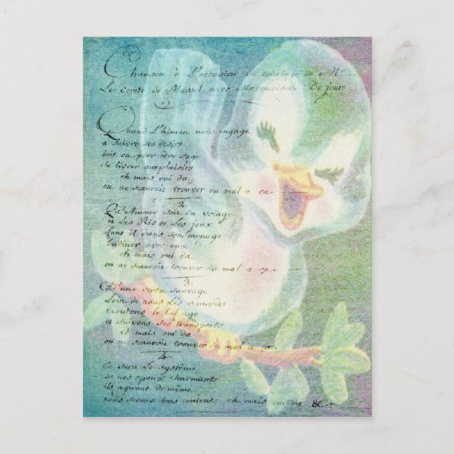Vintage Bird Digital art collage Postcard (Front)