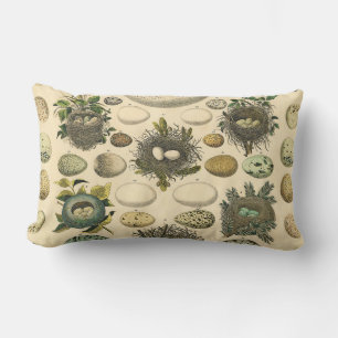 Vintage Bird Egg Nest Art Painting Eggs Lumbar Pillow