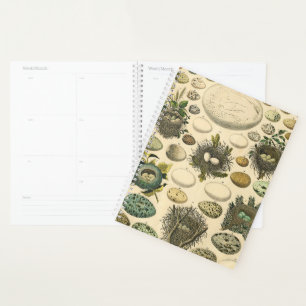 Vintage Bird Egg Nest Art Painting Eggs Planner