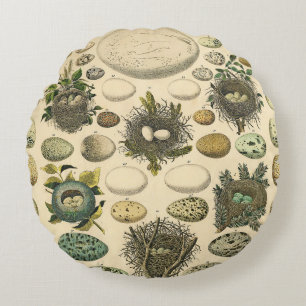 Vintage Bird Egg Nest Art Painting Eggs Round Pillow