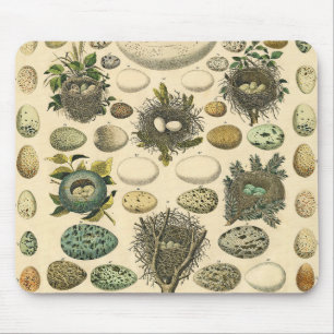 Vintage Bird Egg Nest Art Painting Mouse Pad