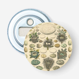 Vintage Bird Egg Nest Art Painting Natural History Bottle Opener