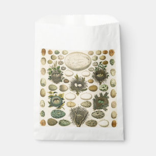 Vintage Bird Egg Nest Art Painting Natural History Favour Bag