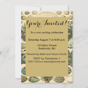 Vintage Bird Egg Nest Art Painting Natural History Invitation