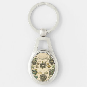 Vintage Bird Egg Nest Art Painting Natural History Keychain