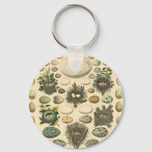 Vintage Bird Egg Nest Art Painting Natural History Keychain