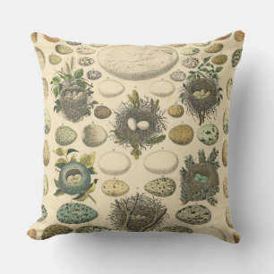 Vintage Bird Egg Nest Art Painting Natural History Outdoor Pillow