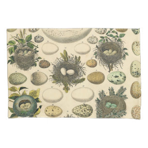 Vintage Bird Egg Nest Art Painting Natural History Pillowcase
