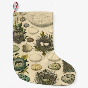 Vintage Bird Egg Nest Art Painting Natural History Small Christmas Stocking