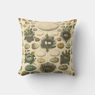 Vintage Bird Egg Nest Art Painting Natural History Throw Pillow