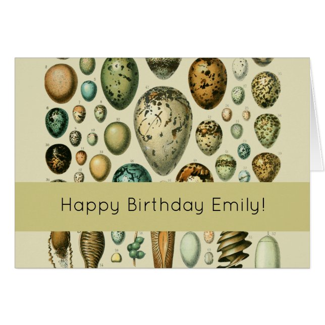 Vintage Bird Eggs French Fish Egg (Devant horizontal)