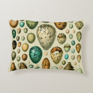 Vintage Bird Eggs French Fish Egg Art Accent Pillow