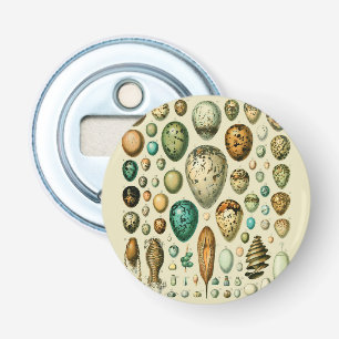 Vintage Bird Eggs French Fish Egg Art Bottle Opener