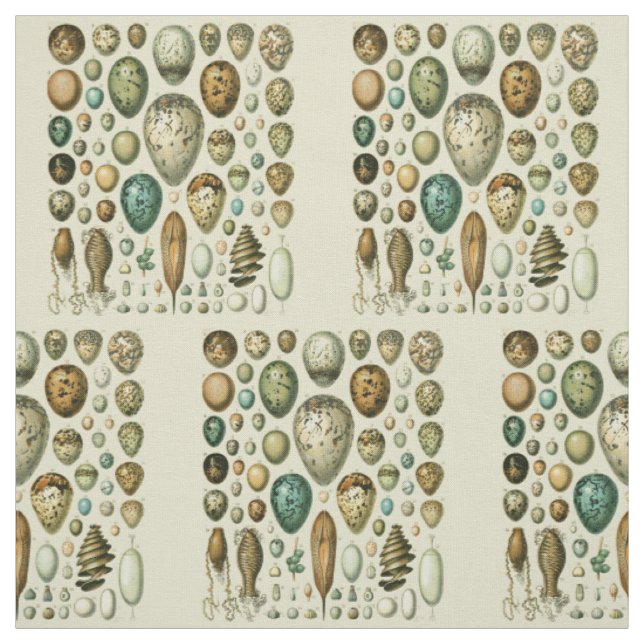Vintage Bird Eggs French Fish Egg Art Fabric (Swatch)