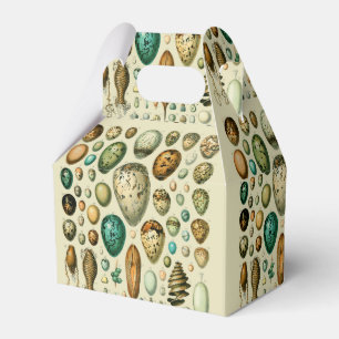 Vintage Bird Eggs French Fish Egg Art Favor Box