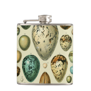 Vintage Bird Eggs French Fish Egg Art Hip Flask
