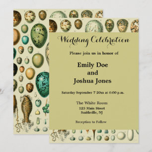 Vintage Bird Eggs French Fish Egg Art Invitation