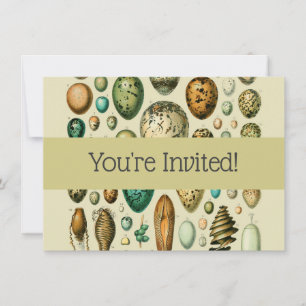 Vintage Bird Eggs French Fish Egg Art Invitation