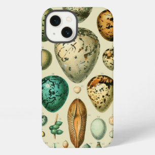 Vintage Bird Eggs French Fish Egg Art iPhone 13 Case