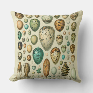 Vintage Bird Eggs French Fish Egg Art Outdoor Pillow