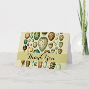 Vintage Bird Eggs French Fish Egg Art Thank You Card