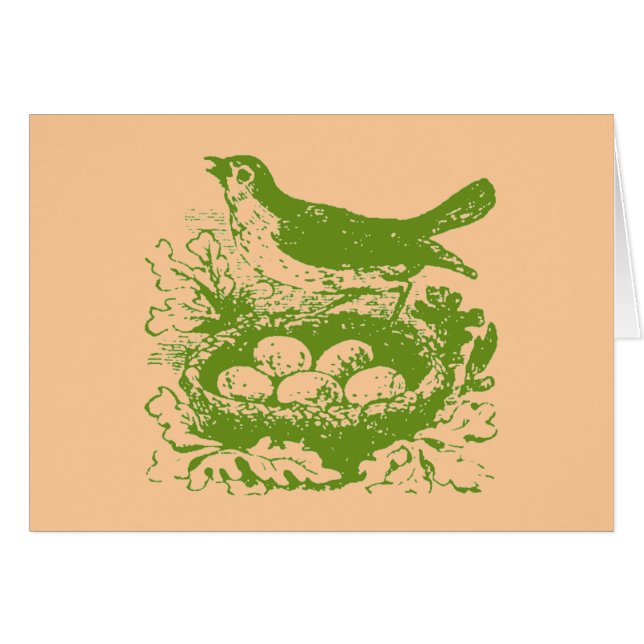 Vintage Bird Eggs & Nest (Front Horizontal)