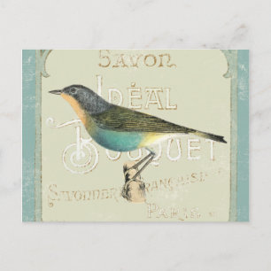 Vintage Bird Facing the Left Postcard
