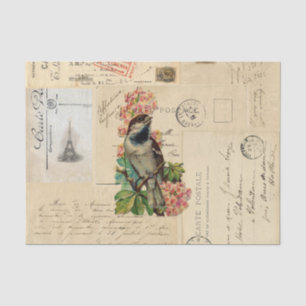 Vintage Bird Flowers French Postcards Tissue Paper