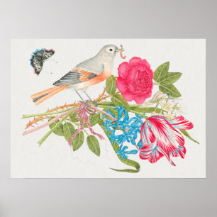 Vintage Bird Illustration Poster
