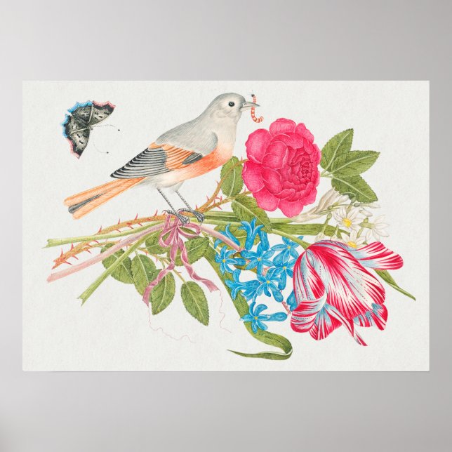Vintage Bird Illustration Poster (Front)