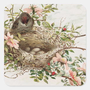Vintage Bird in Nest Animal Print Square Sticker