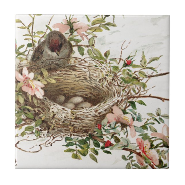 Vintage Bird in Nest Animal Print Tile (Front)