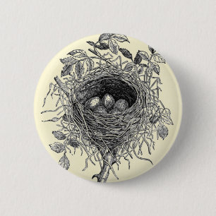 Vintage Bird Nest Illustration 2 Inch Round Button