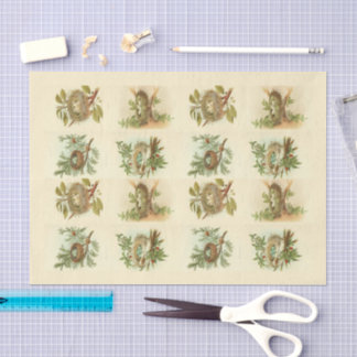 Vintage Bird Nest Illustrations Decoupage Paper
