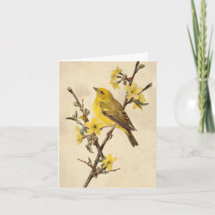 Vintage Bird Note Card
