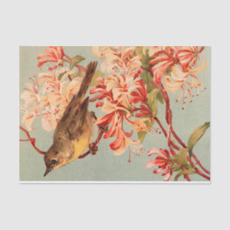 Vintage Bird pink flowers floral Tissue Paper