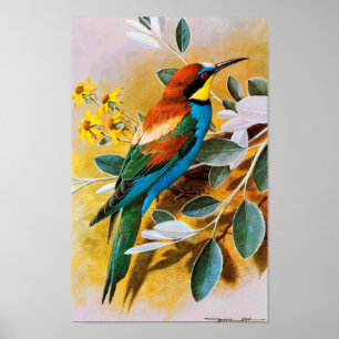 Vintage Bird Poster