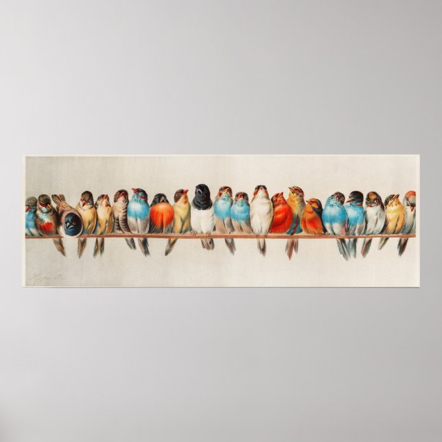 Vintage Bird Print (Front)