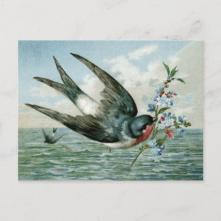 Vintage Bird with Flowering Branch Postcard
