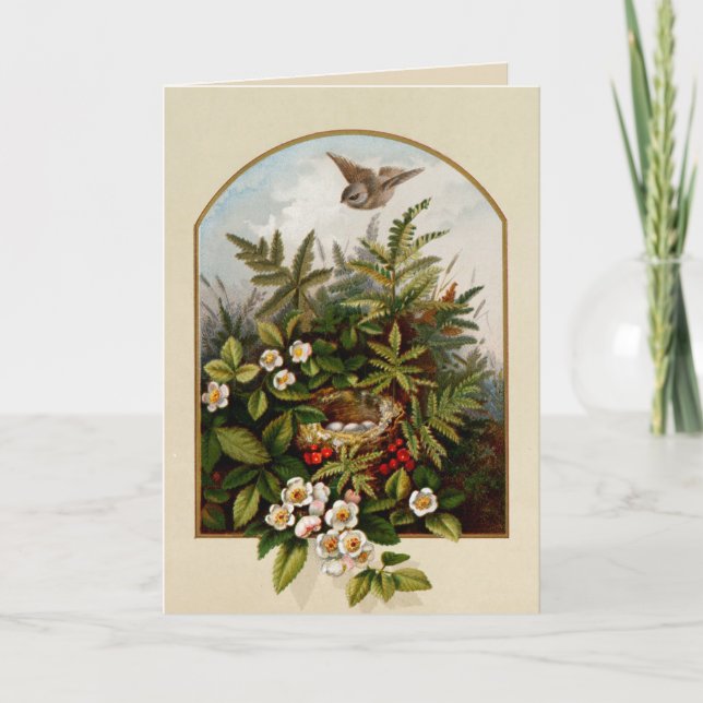 Vintage Bird With Nest Card (Front)